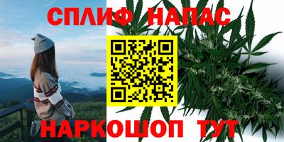 хмурый Краснодар