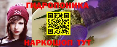 хмурый Краснодар