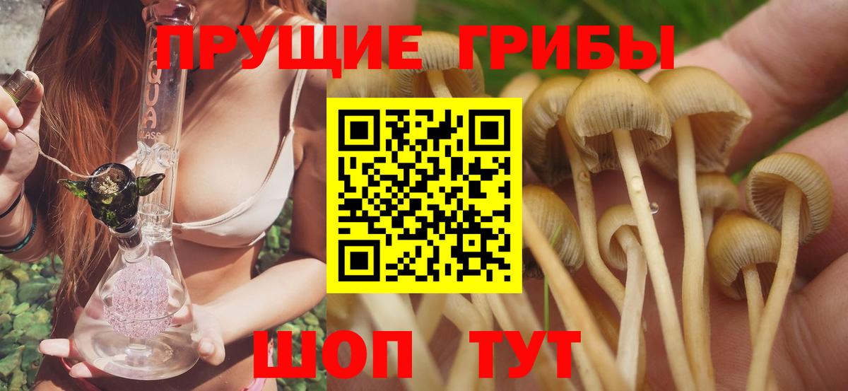 Псилоцибиновые грибы Cubensis Гусь-Хрустальный